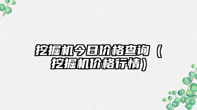 挖掘機今日價格查詢（挖掘機價格行情）