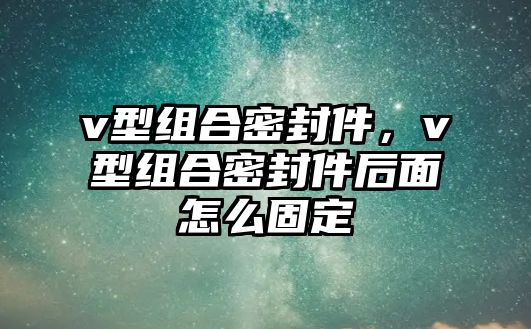 v型組合密封件，v型組合密封件后面怎么固定