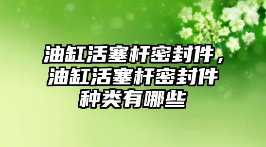 油缸活塞桿密封件，油缸活塞桿密封件種類有哪些