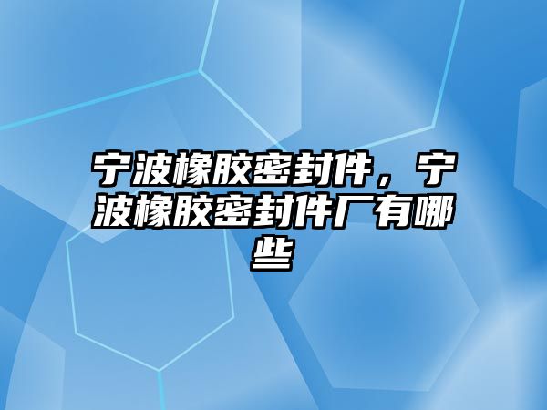 寧波橡膠密封件，寧波橡膠密封件廠有哪些