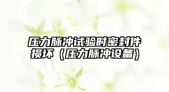 壓力脈沖試驗時密封件損壞（壓力脈沖設(shè)備）