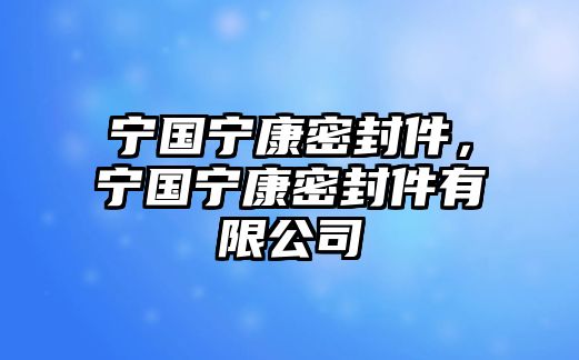 寧國(guó)寧康密封件，寧國(guó)寧康密封件有限公司