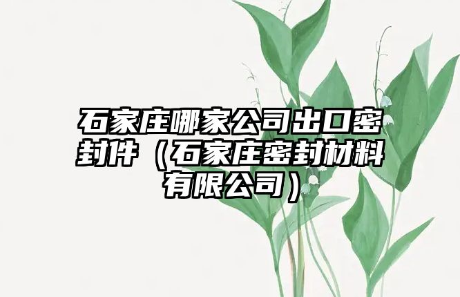 石家莊哪家公司出口密封件（石家莊密封材料有限公司）