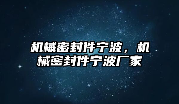 機械密封件寧波，機械密封件寧波廠家