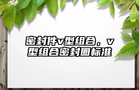 密封件v型組合，v型組合密封圈標(biāo)準(zhǔn)