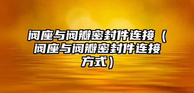 閥座與閥瓣密封件連接（閥座與閥瓣密封件連接方式）