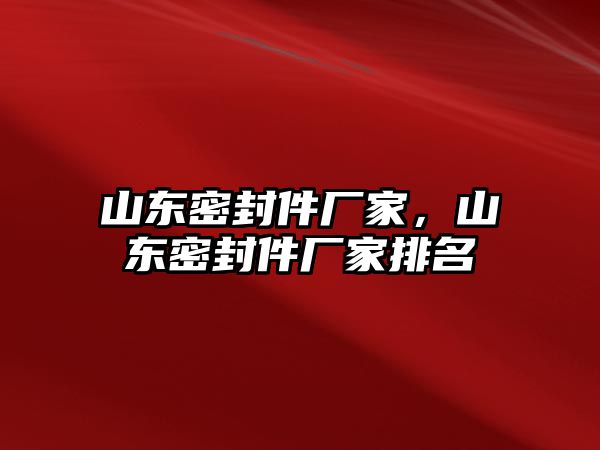 山東密封件廠家，山東密封件廠家排名