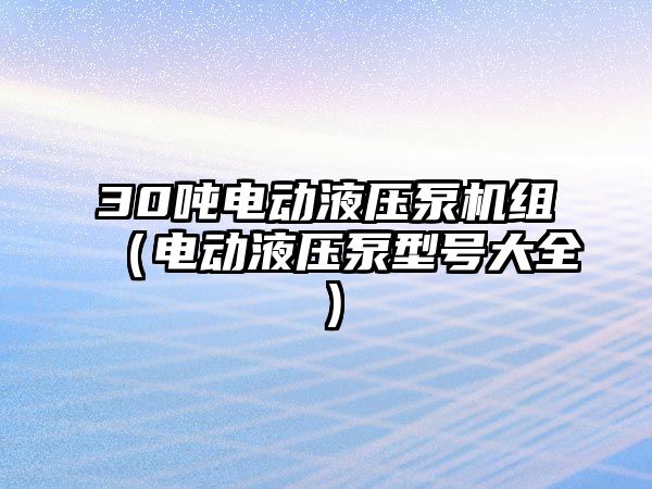 30噸電動液壓泵機組（電動液壓泵型號大全）