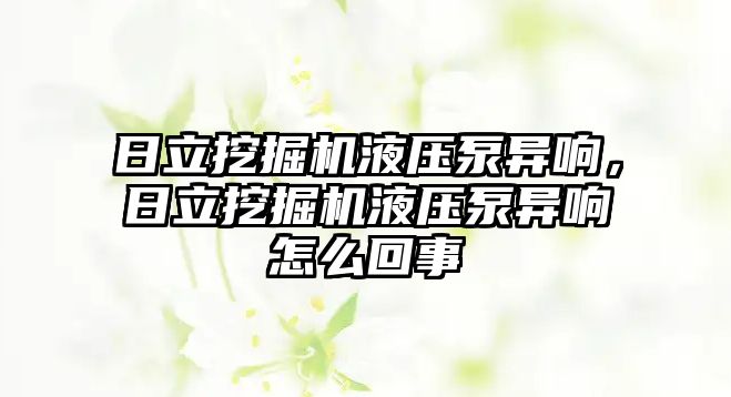 日立挖掘機液壓泵異響，日立挖掘機液壓泵異響怎么回事