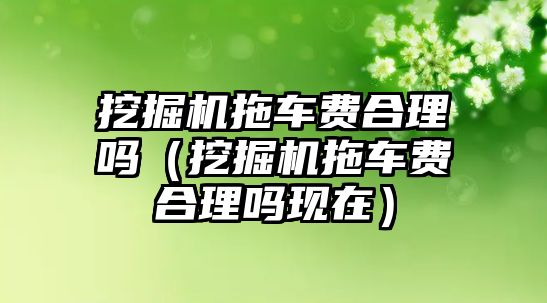 挖掘機拖車費合理嗎（挖掘機拖車費合理嗎現(xiàn)在）