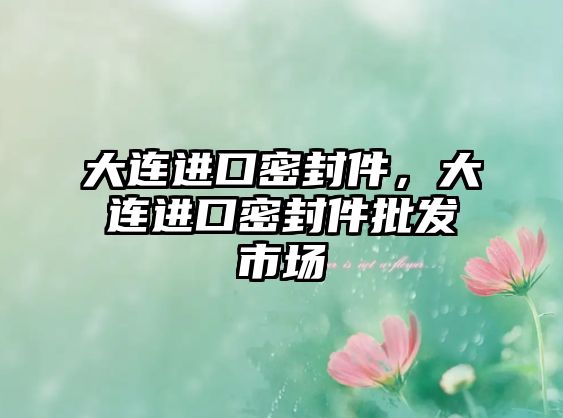 大連進(jìn)口密封件，大連進(jìn)口密封件批發(fā)市場(chǎng)