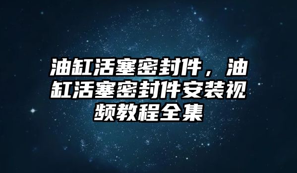 油缸活塞密封件，油缸活塞密封件安裝視頻教程全集