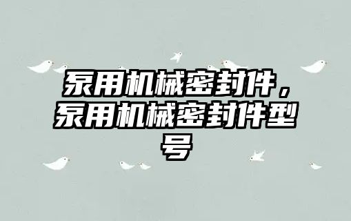 泵用機械密封件，泵用機械密封件型號