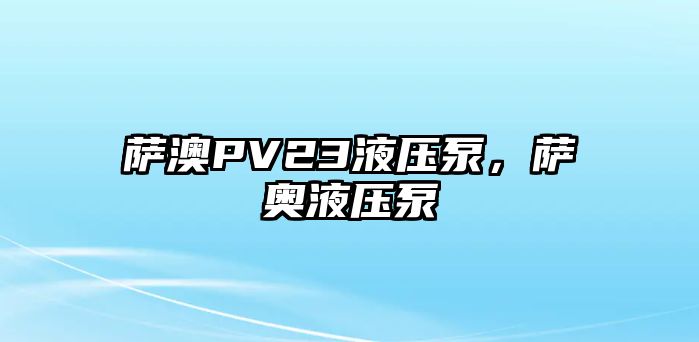 薩澳PV23液壓泵，薩奧液壓泵