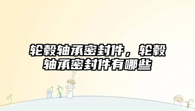 輪轂軸承密封件，輪轂軸承密封件有哪些