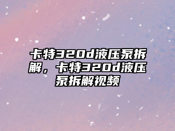 卡特320d液壓泵拆解，卡特320d液壓泵拆解視頻