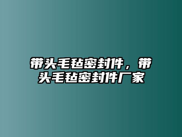 帶頭毛氈密封件，帶頭毛氈密封件廠家