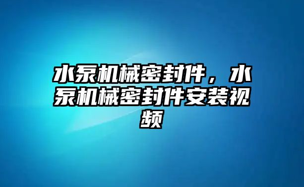 水泵機械密封件，水泵機械密封件安裝視頻