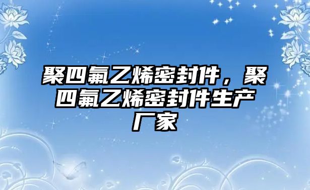 聚四氟乙烯密封件，聚四氟乙烯密封件生產(chǎn)廠家