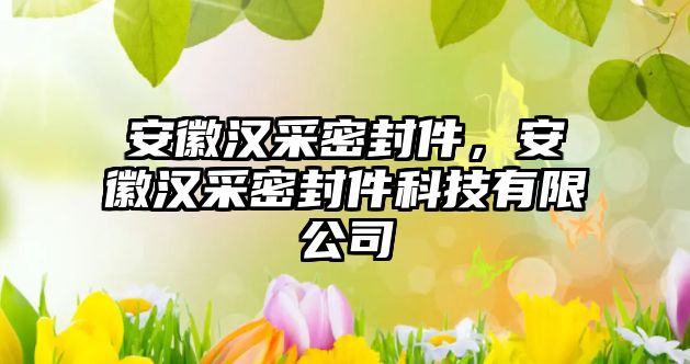 安徽漢采密封件，安徽漢采密封件科技有限公司