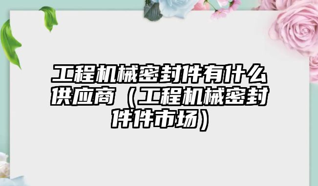 工程機(jī)械密封件有什么供應(yīng)商（工程機(jī)械密封件件市場）