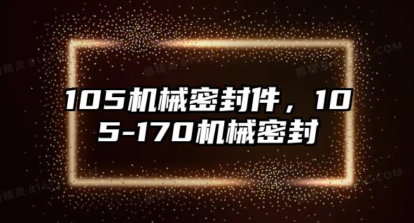 105機械密封件，105-170機械密封