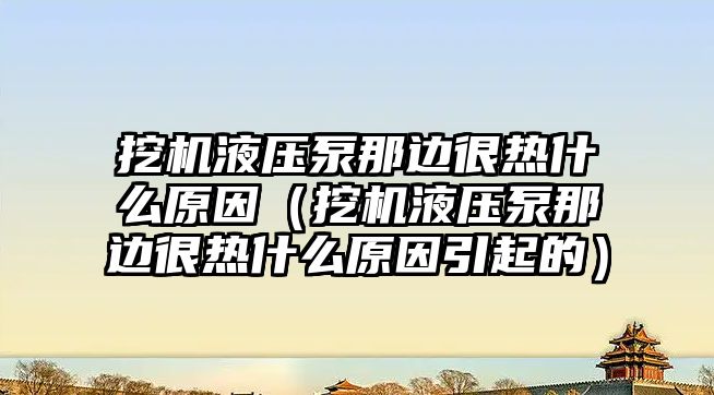 挖機液壓泵那邊很熱什么原因（挖機液壓泵那邊很熱什么原因引起的）