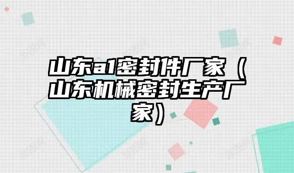 山東a1密封件廠家（山東機(jī)械密封生產(chǎn)廠家）