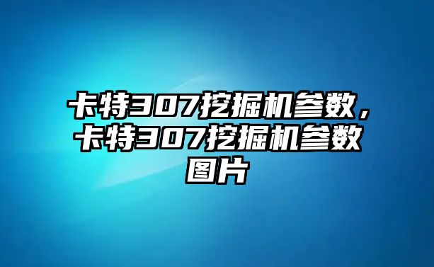 卡特307挖掘機參數(shù)，卡特307挖掘機參數(shù)圖片