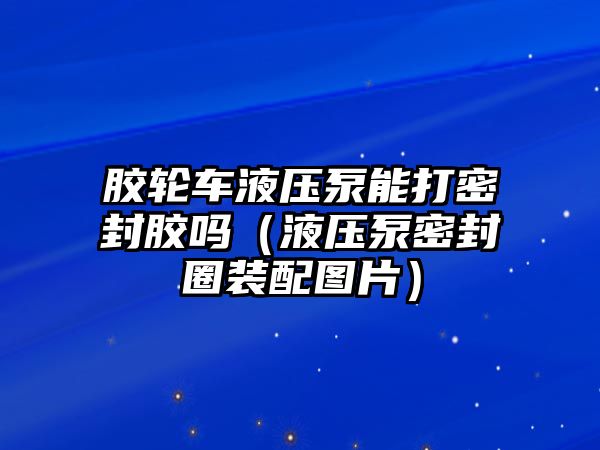 膠輪車液壓泵能打密封膠嗎（液壓泵密封圈裝配圖片）