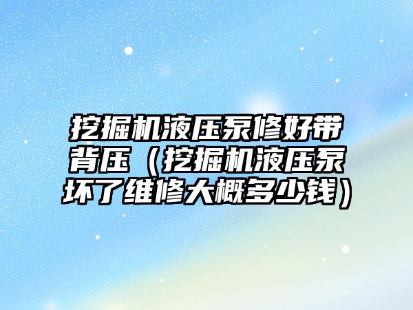 挖掘機液壓泵修好帶背壓（挖掘機液壓泵壞了維修大概多少錢）