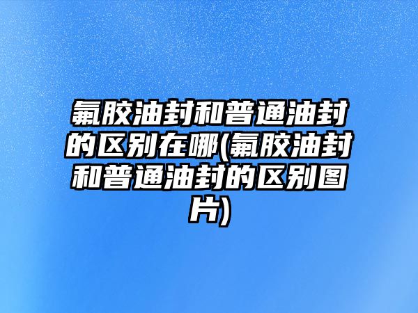 氟膠油封和普通油封的區(qū)別在哪(氟膠油封和普通油封的區(qū)別圖片)