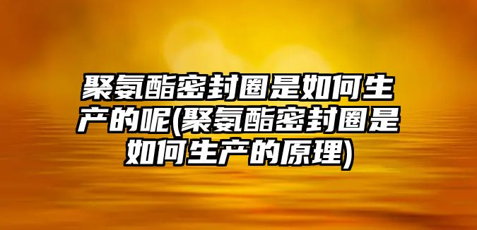 聚氨酯密封圈是如何生產(chǎn)的呢(聚氨酯密封圈是如何生產(chǎn)的原理)