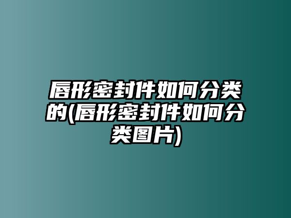 唇形密封件如何分類的(唇形密封件如何分類圖片)