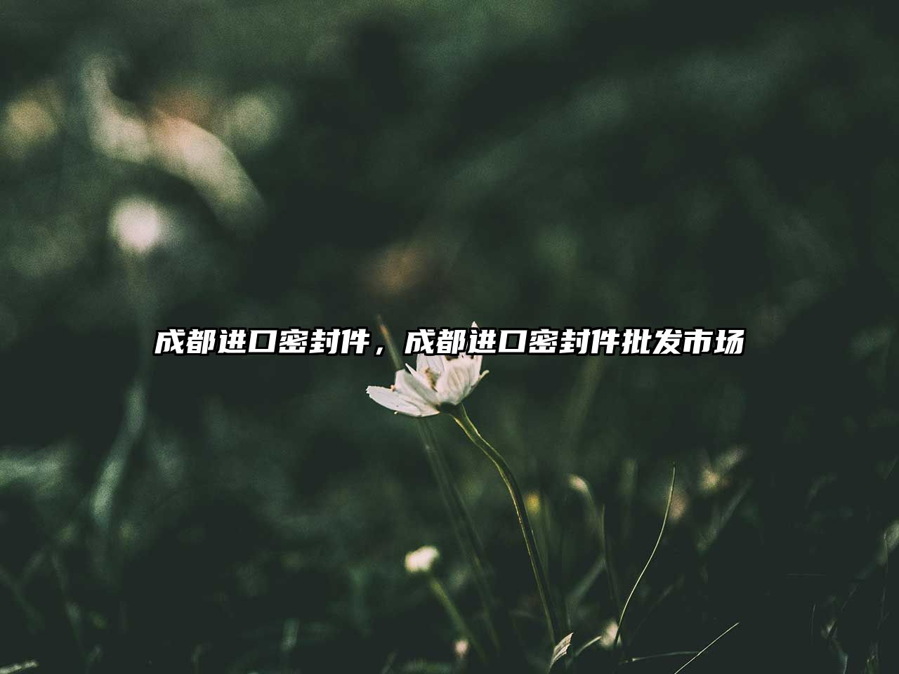 成都進(jìn)口密封件，成都進(jìn)口密封件批發(fā)市場(chǎng)