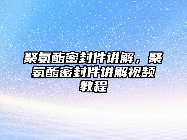 聚氨酯密封件講解，聚氨酯密封件講解視頻教程