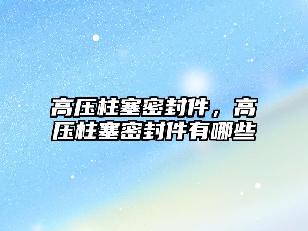 高壓柱塞密封件，高壓柱塞密封件有哪些