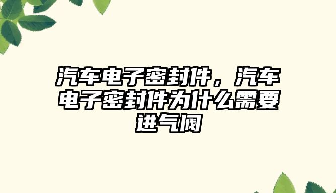 汽車電子密封件，汽車電子密封件為什么需要進(jìn)氣閥