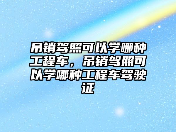 吊銷駕照可以學哪種工程車，吊銷駕照可以學哪種工程車駕駛證