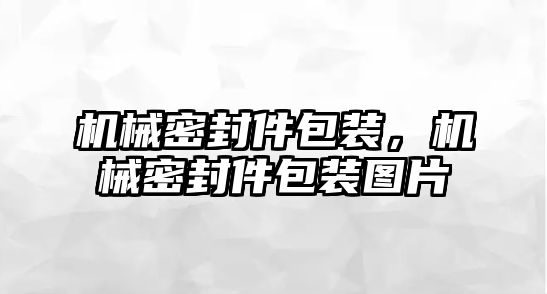 機(jī)械密封件包裝，機(jī)械密封件包裝圖片