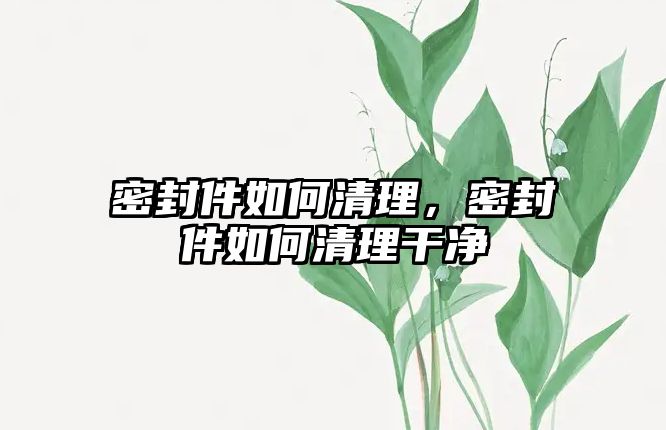 密封件如何清理，密封件如何清理干凈