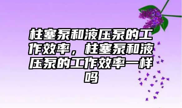 柱塞泵和液壓泵的工作效率，柱塞泵和液壓泵的工作效率一樣嗎