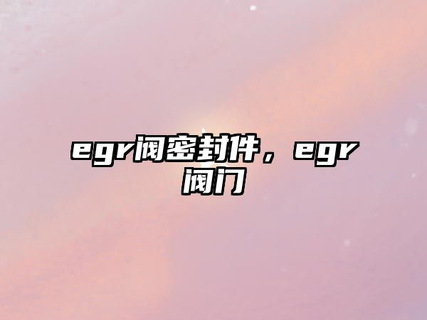 egr閥密封件，egr閥門