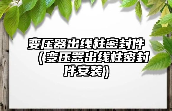 變壓器出線柱密封件（變壓器出線柱密封件安裝）