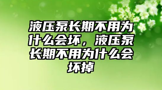 液壓泵長期不用為什么會壞，液壓泵長期不用為什么會壞掉