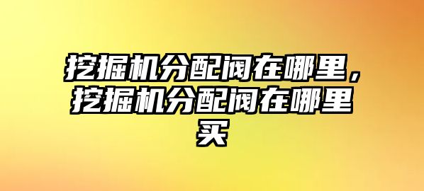 挖掘機(jī)分配閥在哪里，挖掘機(jī)分配閥在哪里買