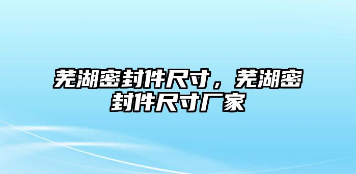 蕪湖密封件尺寸，蕪湖密封件尺寸廠家