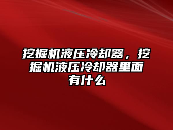 挖掘機(jī)液壓冷卻器，挖掘機(jī)液壓冷卻器里面有什么