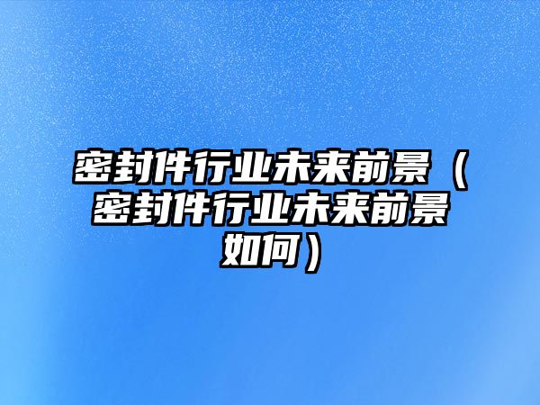 密封件行業(yè)未來(lái)前景（密封件行業(yè)未來(lái)前景如何）