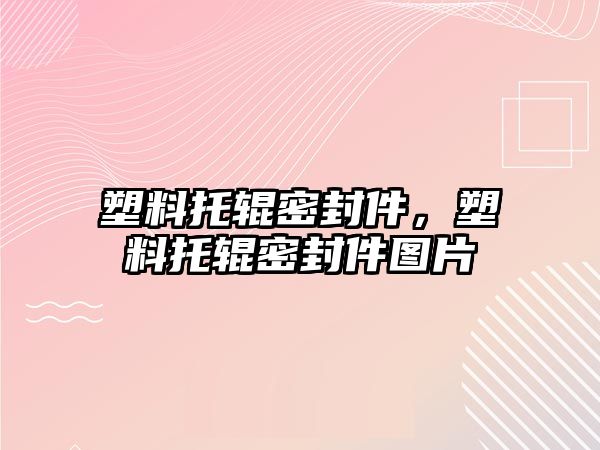 塑料托輥密封件，塑料托輥密封件圖片